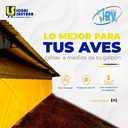 Lona avicola 100 g. Amarillo (Metros) 2.05